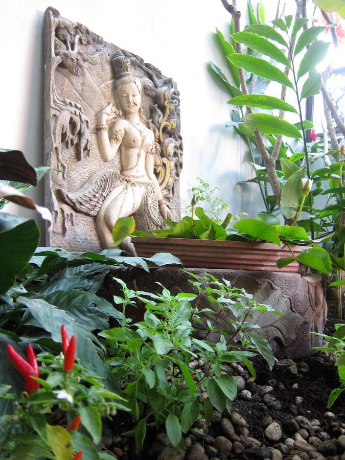 V Lodge Chiang Mai Zewnętrze zdjęcie