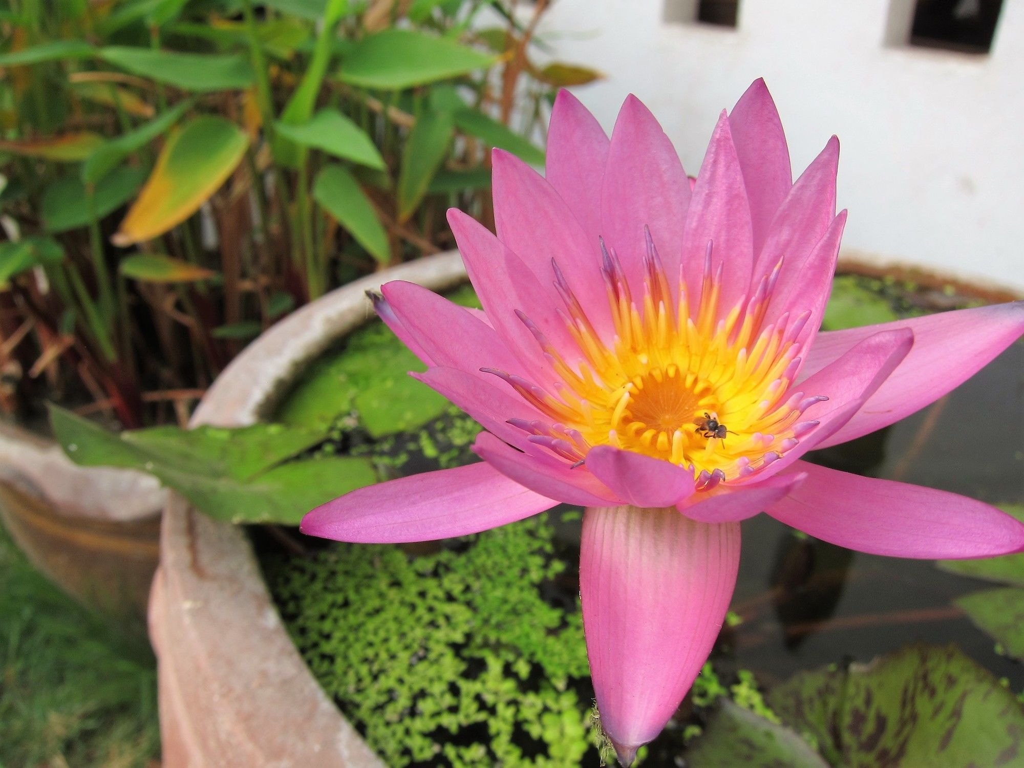 V Lodge Chiang Mai Zewnętrze zdjęcie